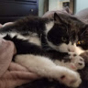 Meet your Posher, Carrie